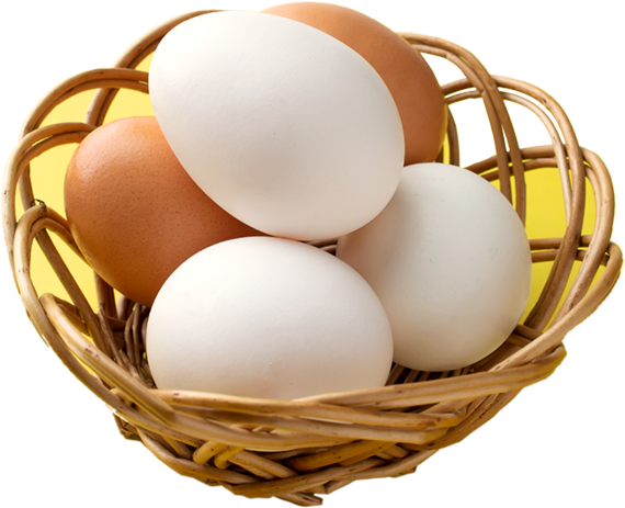eggs bascket